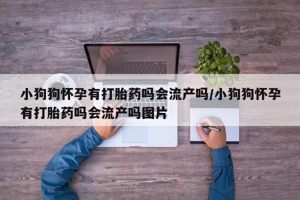 打胎药私人店联系方式保密发货,指导用药小狗狗怀孕有打胎药吗会流产吗/小狗狗怀孕有打胎药吗会流产吗图片