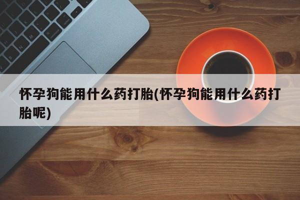 打胎药私人店联系方式保密发货,指导用药怀孕狗能用什么药打胎(怀孕狗能用什么药打胎呢)